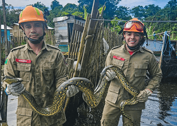 Foto: Reprodução/redes sociais
