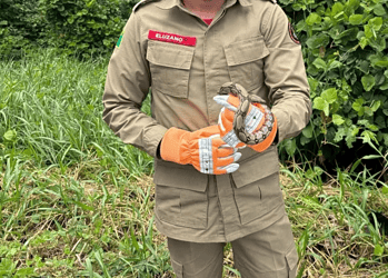 Foto: Bombeiros/reprodução