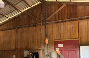 Jiboia é resgatada dentro de casa no Acre e devolvida à natureza