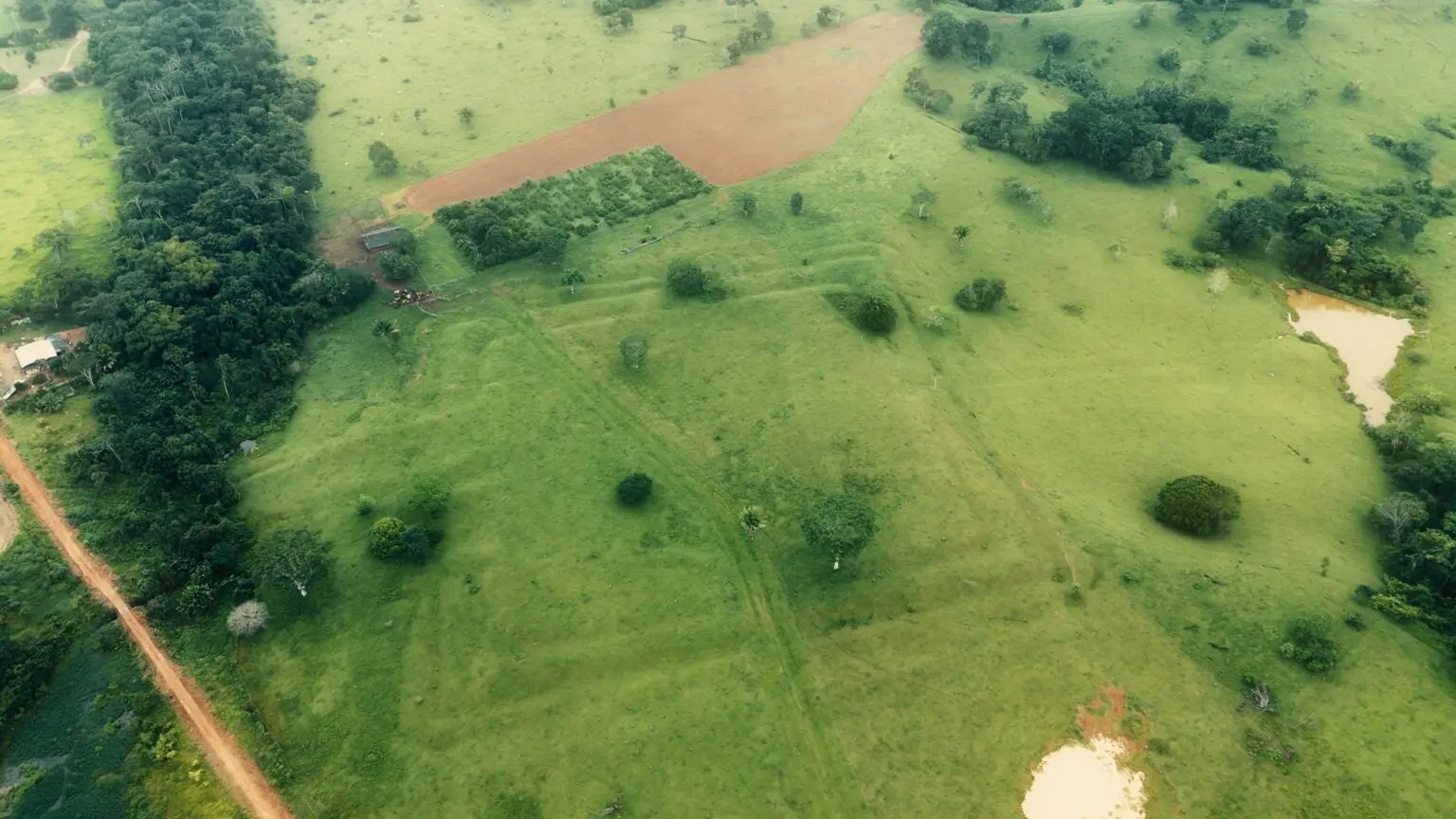 Geoglifos do Acre podem ser reconhecidos como patrimônio mundial pela Unesco