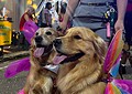 Foliões lotam Passarela do Samba na segunda noite do Carnaval da Família; VEJA FOTOS