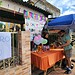 Foto: Juan Vicent Diaz