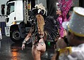 Carnaval da Família: confira a imagem das apresentações dos blocos Sambase e Sem Limite