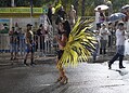 6 é D+ e Unidos do Fuxico fecham apresentações dos blocos carnavalescos