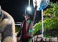 6 é D+ e Unidos do Fuxico fecham apresentações dos blocos carnavalescos