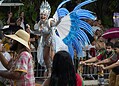 6 é D+ e Unidos do Fuxico fecham apresentações dos blocos carnavalescos