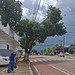 Foto: Anne Nascimento