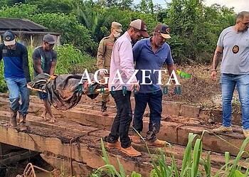 Homens que morreram após queda de árvore na Reserva Chico Mendes são identificados