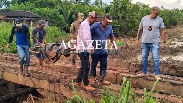 Homens que morreram após queda de árvore na Reserva Chico Mendes são identificados