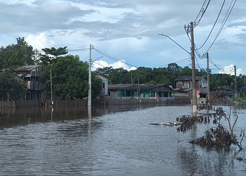 Foto: Walcimar Júnior