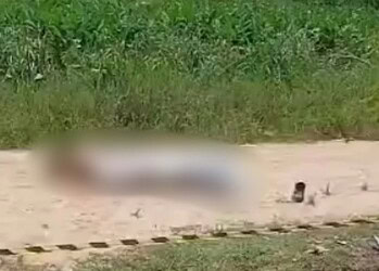 Homem morre baleado após avançar contra policiais militares com facão em Cruzeiro do Sul