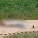 Homem morre baleado após avançar contra policiais militares com facão em Cruzeiro do Sul