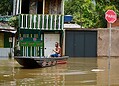 FOTOS: Enchente do Rio Acre já atinge quase 24 mil pessoas em Rio Branco
