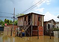FOTOS: Enchente do Rio Acre já atinge quase 24 mil pessoas em Rio Branco