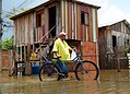 FOTOS: Enchente do Rio Acre já atinge quase 24 mil pessoas em Rio Branco