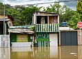 FOTOS: Enchente do Rio Acre já atinge quase 24 mil pessoas em Rio Branco
