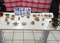 Colégio de Aplicação promove mostra cultural "Brincar e Pintar" para valorizar diversidade étnica-cultural das artes