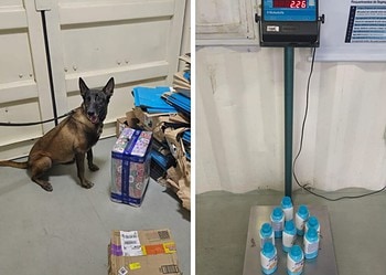 Polícia Civil usa cão farejador para desarticular tráfico de drogas no Acre 17 Foto: Cedida