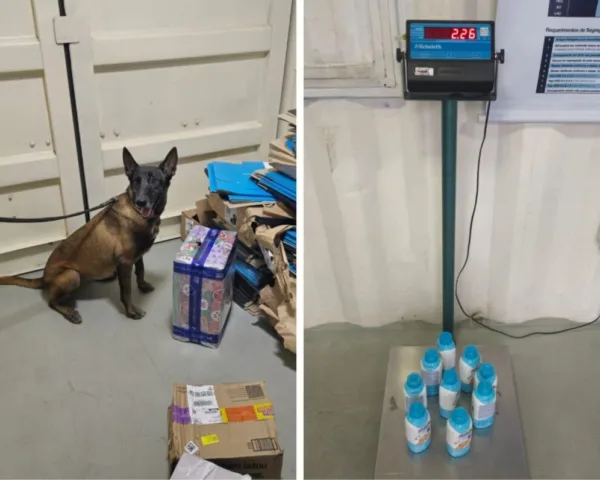 Polícia Civil usa cão farejador para desarticular tráfico de drogas no Acre