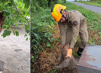 Foto: Reprodução/Instagram
