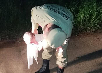 Foto: Reprodução/Instagram