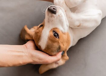 Foto: Getty Images