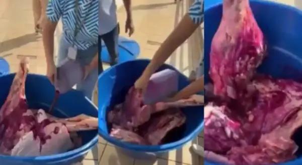VÍDEO: Carne estragada era pintada com corante vermelho para parecer fresca