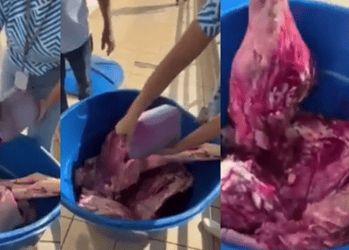 A ação, que ocorreu entre os dias 24 e 26 de março, apreendeu diversas irregularidades em 17 supermercados, açougues e restaurantes das cidades de Seara e Xavantina • Reprodução