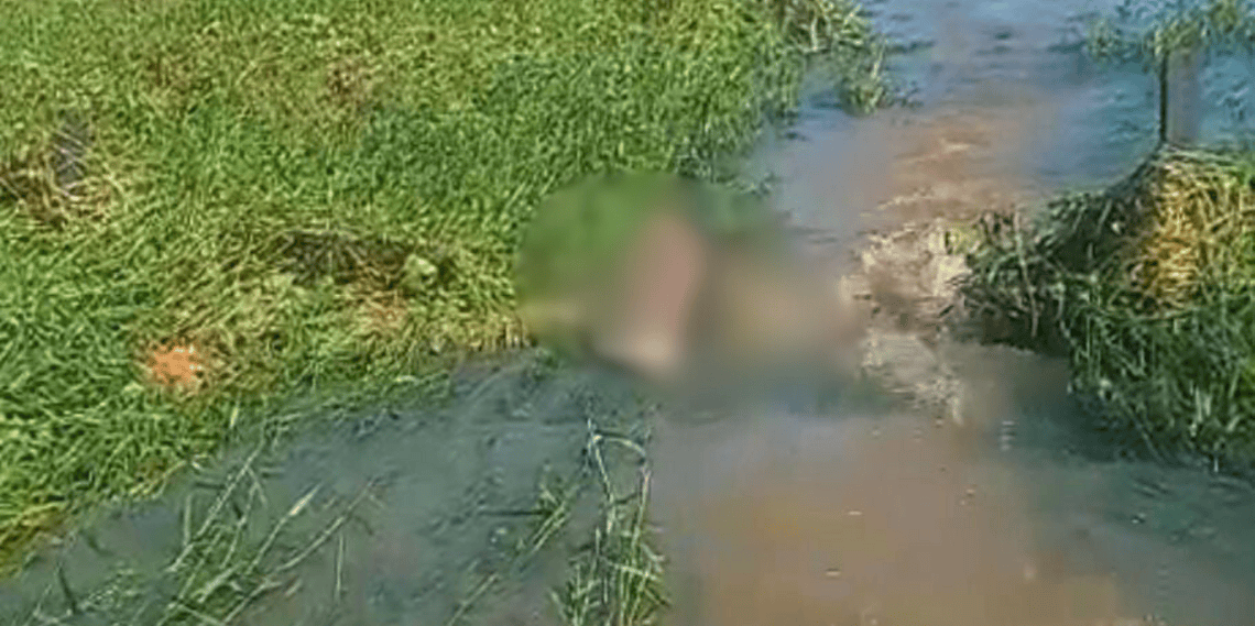 Corpo é encontrado em igarapé na zona rural do Acre; polícia investiga o caso