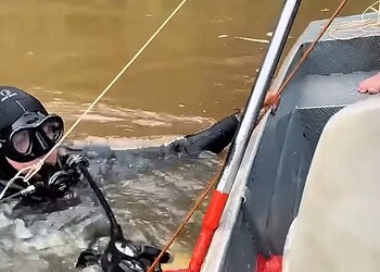 Foto: Reprodução/Redes sociais