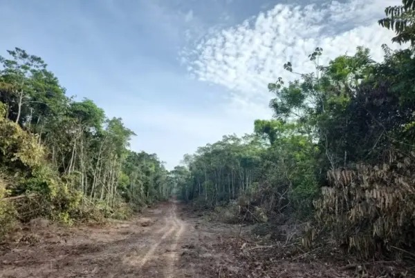 MPF recomenda licenciamento de ramal no Acre para garantia de direitos indígenas e proteção ambiental