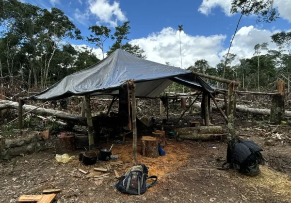 Operação da Polícia Federal prende quatro por invasão de terras públicas e crimes ambientais no Acre