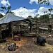Foto: Arquivo/PF-AC