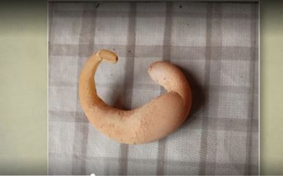 Ovo em formato de escorpião, croissant, meia-lua: por que será?