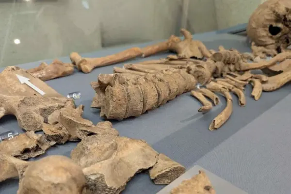 As marcas de mordidas encontradas em esqueleto que revelam combates entre gladiadores e leões