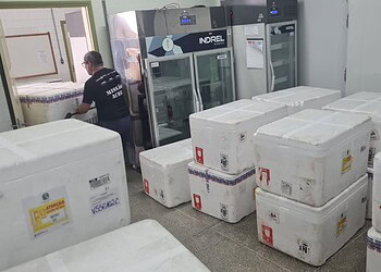 As doses serão divididas e distribuídas entre os 22 municípios acreanos. Foto: cedida