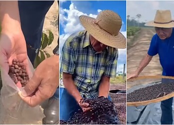 Foto: Reprodução/Redes sociais