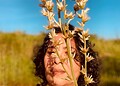 Artistas do Acre promovem oficina de papel artesanal com sementes no Horto Florestal