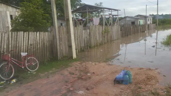 Em Feijó, Rio Envira ultrapassa cota de transbordo e atinge 12,10 metros