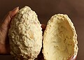 Confeiteiras apostam em sabores regionais como cupuaçu e castanha para fortalecer vendas de Páscoa no Acre