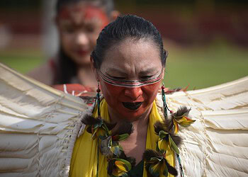 Foto: Diego Gurgel/Secom