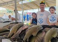 Feira do Peixe 2025 promete bater recorde com mais de 120 toneladas de pescado à venda