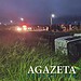 Caminhão boiadeiro tomba na Via Verde após desviar de outro veículo e deixa bois soltos na pista