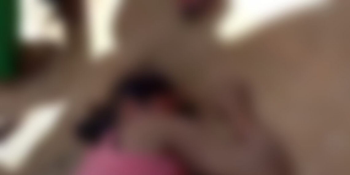 Mulher é esfaqueada em beco no interior do Acre e polícia faz buscas por suspeito