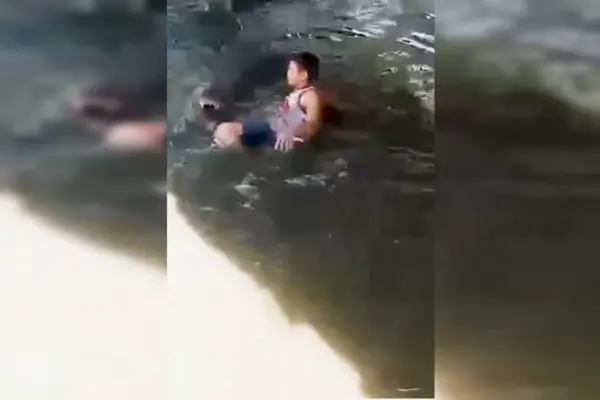Turista confunde crocodilo de 4,5 m com estátua e é atacado; vídeo