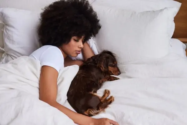 Dormir com o cachorro: entenda riscos e benefícios da prática
