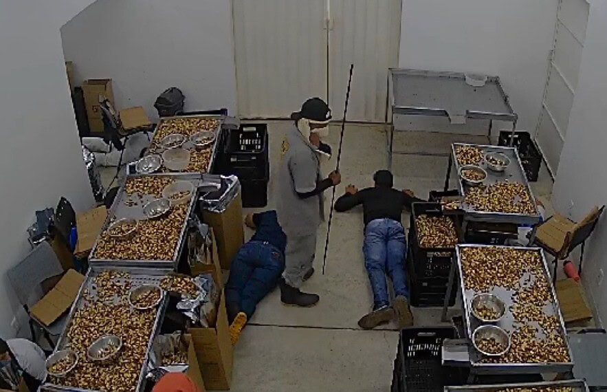 Dois suspeitos de roubo à fábrica de castanhas e temperos são presos em Rio Branco