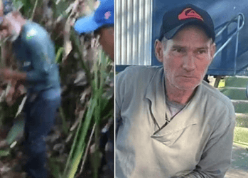Onça que matou caseiro em fazenda atacou socorrista durante busca em Aquidauana (MS) - (crédito: Reprodução)