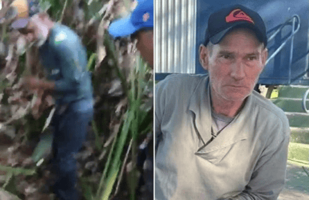 Onça que matou caseiro em fazenda atacou socorrista durante busca em Aquidauana (MS) - (crédito: Reprodução)
