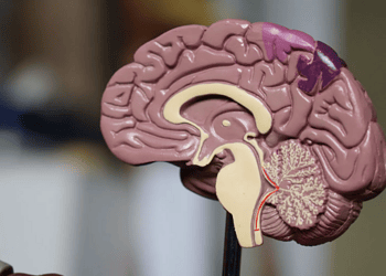 Em casos raros, o Alzheimer pode surgir precocemente, em pessoas com menos de 65 anos • Unsplash/Robina Weermeijer